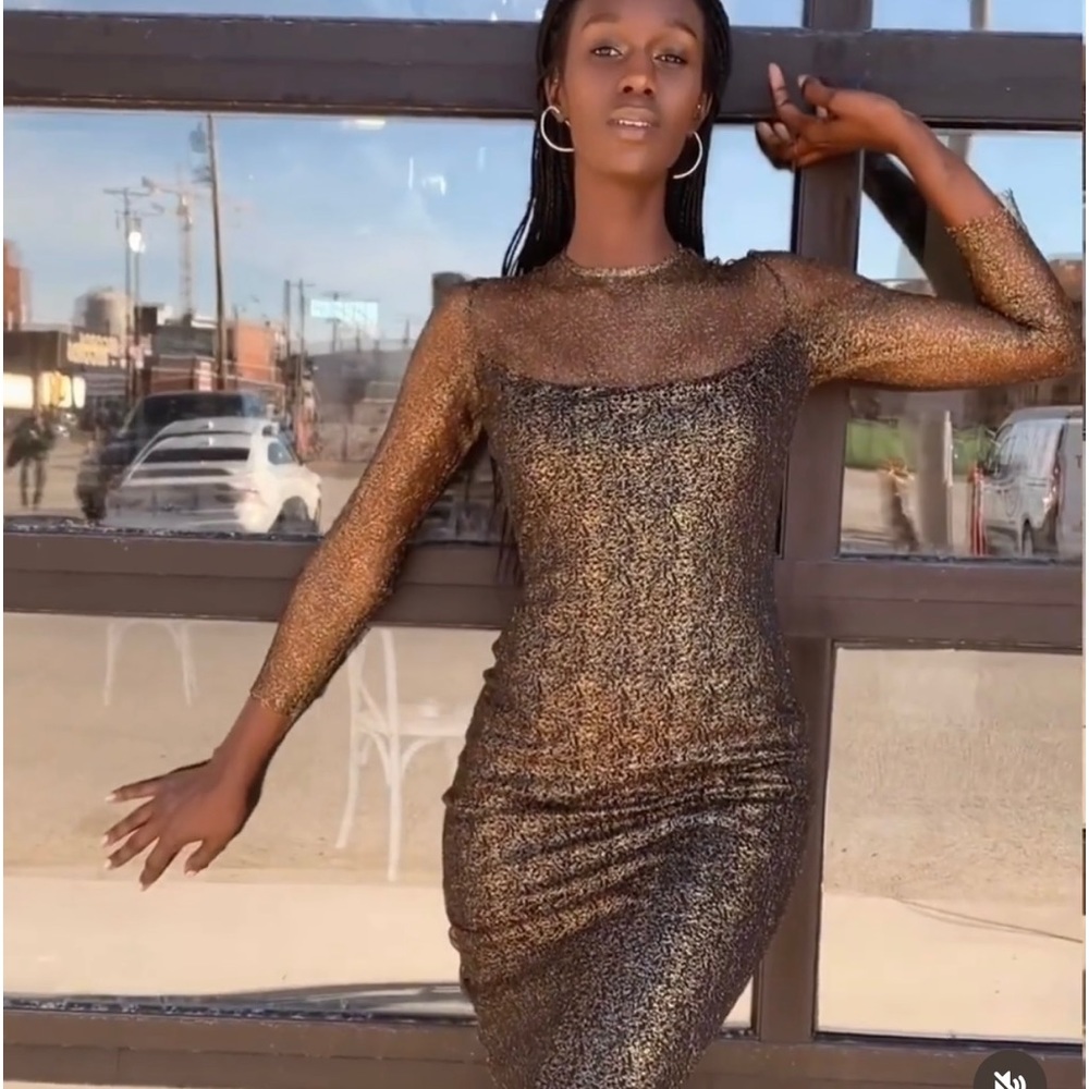 By Egreis Black and Gold Bodycon Mesh Dress